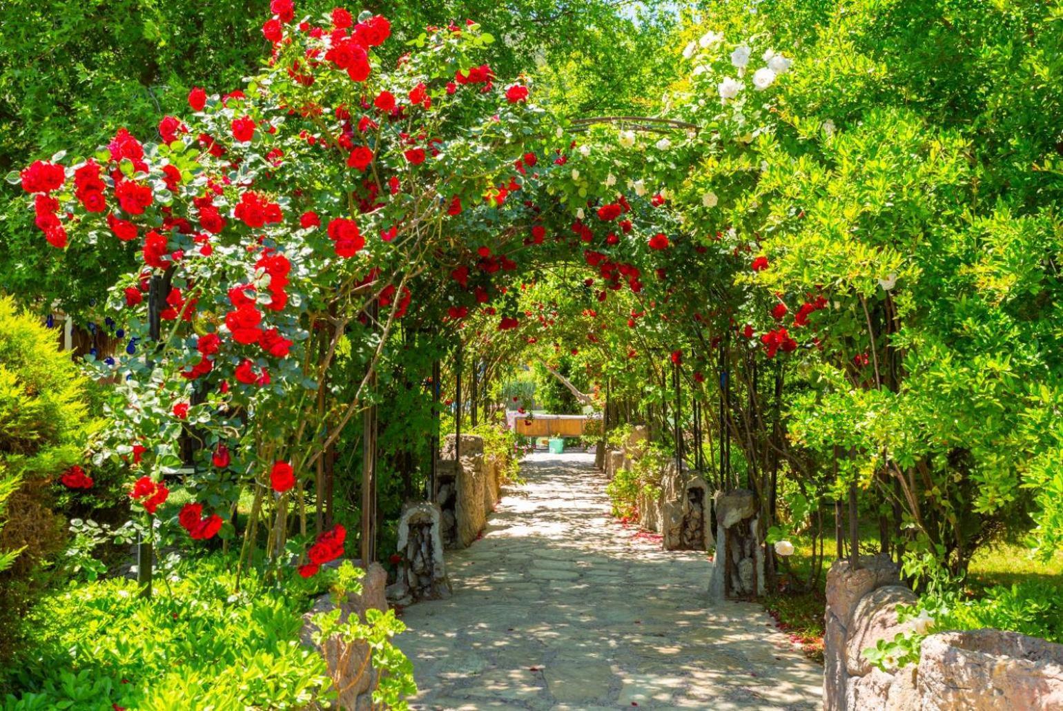 Emel Paradise